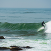 Surfing in Mondo's