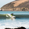 Surfing in Scott Creek