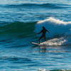 Surfing in Bird Rock