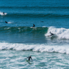 Surfing in Cardiff Reef