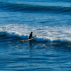 Surfing in Mission Beach