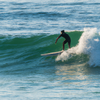 Surfing in Scripps
