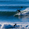 Surfing in Swamis