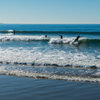 Surfing in Torrey Pines State Beach