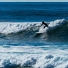 Surfing in Windansea Beach