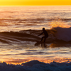 Surfing in Sunset Point