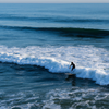 Surfing in Venice Beach