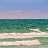 Surfing in Treasure Island