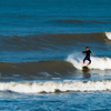 Surfing in Mayport Poles