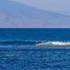 Surfing in Lahaina Harbor