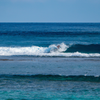 Surfing in Ala Moana Bowls