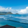 Surfing in Log Cabins