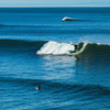 Surfing in Scarborough Beach