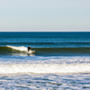Surfing in Wells Beach