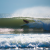 Surfing in Ship Bottom