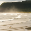 Surfing in Seaside Cove