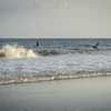 Surfing in Isle of Palms