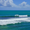 Surfing in Porto de Galinhas
