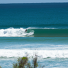 Surfing in Praia do Santinho