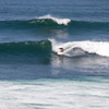 Surfing in Punta Itata