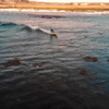 Surfing in Totoral