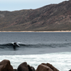 Surfing in Totoralillo