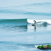 Surfing in Concon