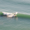Surfing in Playa Amarilla