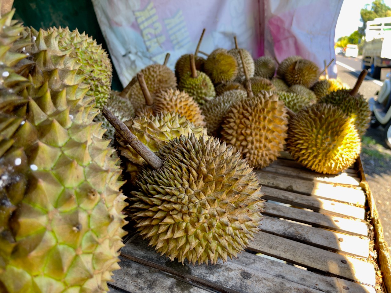 Durian Fruits For Sale in Medewi, Bali