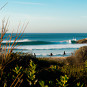Surfing in Eastern Cape