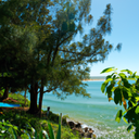 Surfing in Northern Rivers