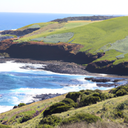 Surfing in Phillip Island