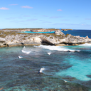 Surfing in Rottnest Island