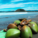 Surfing in Chiriqui
