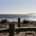 Surfing in Gironde