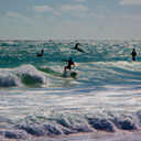 Surfing in Florida