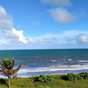Surfing in Pernambuco