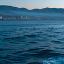 Surfing in Antofagasta