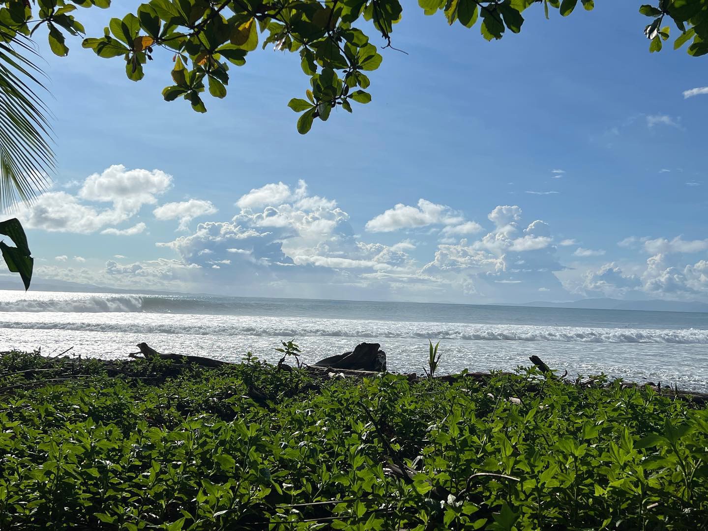 Pavones, Costa Rica wave