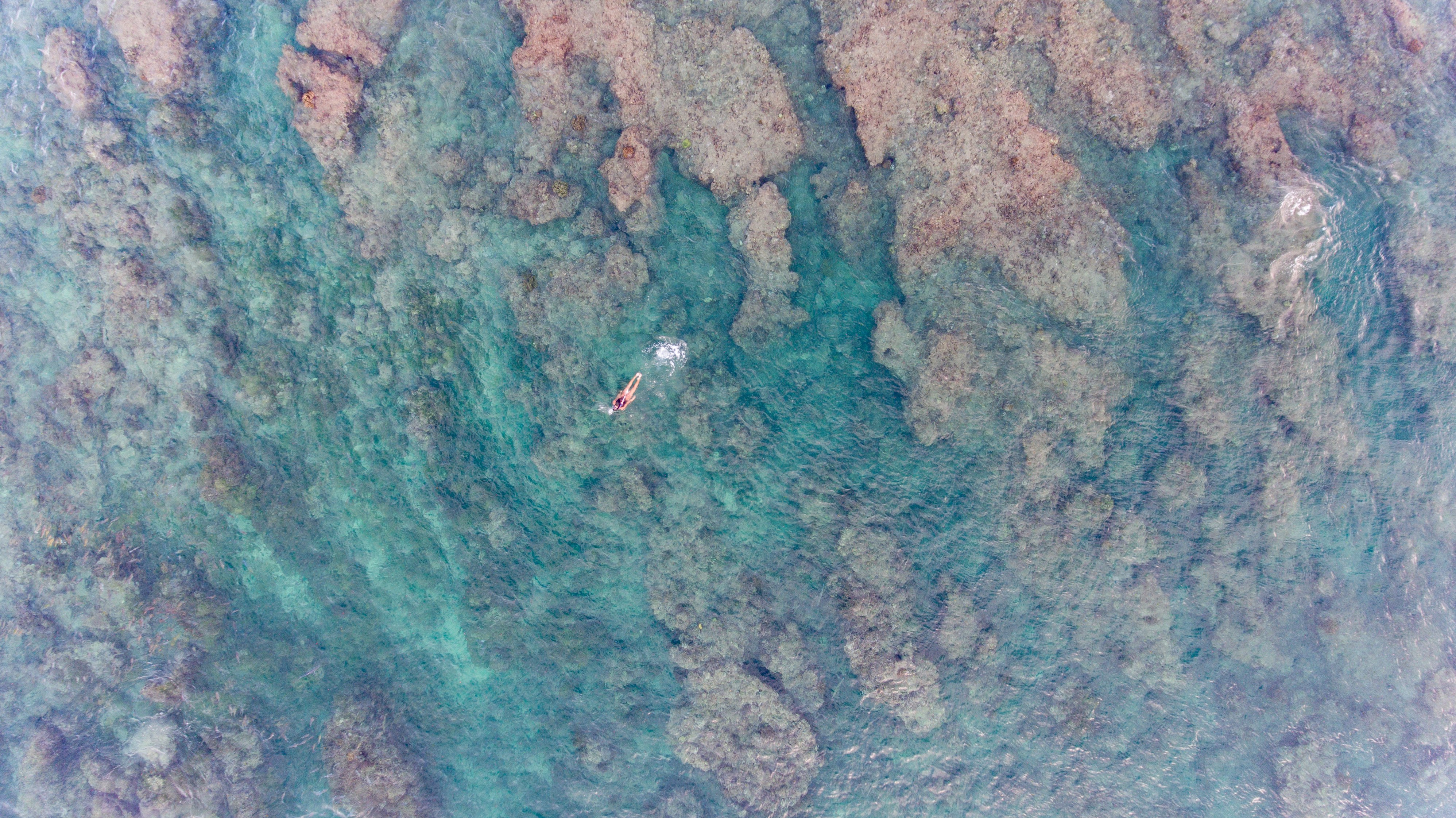 An incredible view of the reef in Mentawai Islands