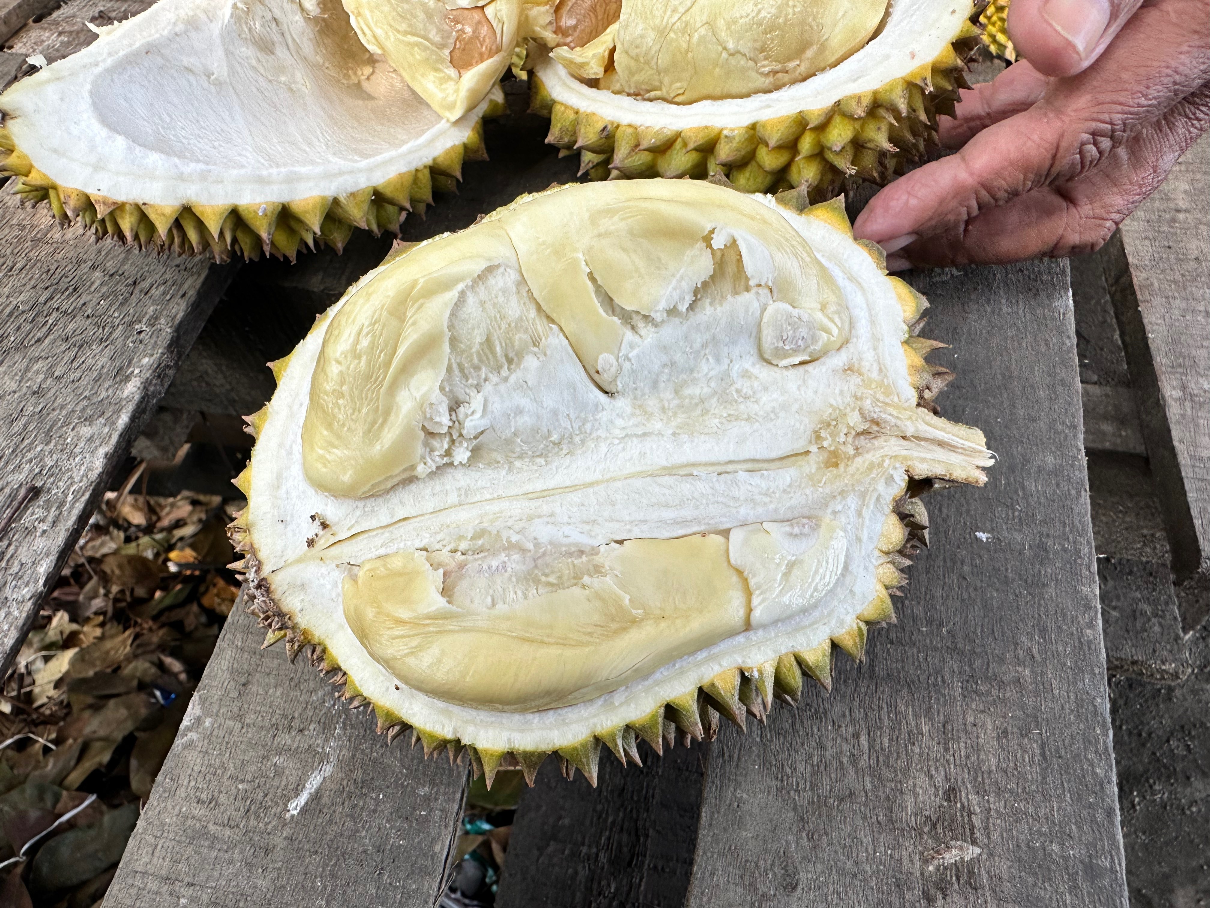 Close up photo of the inside of a durian